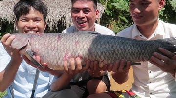 TIẾT CANH CÁ TRẮM ĐEN 7 KG | NSTN