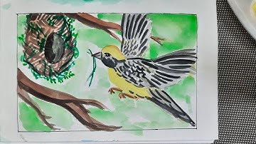 Bird nest drawing | How to draw a nest with Baya weaver bird | Simple watercolor painting tutorial