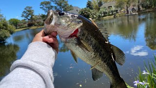 Pond fishing in Myrtle beach