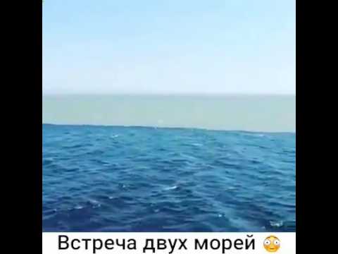 Video: Аляска булуңу бороондордун мекени