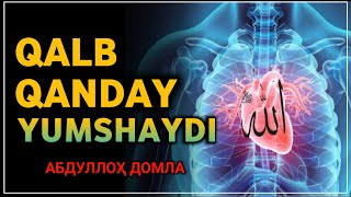 Абдуллох Домла ~ Қалб Қандай Юмшайди | Abdulloh Domla ~ Qalb Qanday Yumshaydi ?