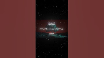 سورة النساء|60-61|القارئ:#محمد_اللحيدان #قران #quran #راحة_نفسية #قران_كريم#تلاوة_هادئة #تلاوة_خاشعة