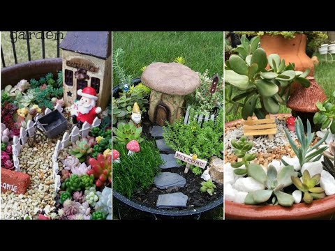 Video: Diseño de mini jardines suculentos: cómo hacer un jardín de hadas con suculentas