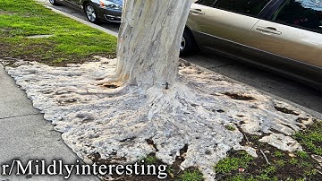 when reddit is mildly interesting