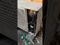 service ac kerumah #sanjaya_tehnik #pantaiindahkapuk #serviceac_kerumah #tangerangkota #jakarta