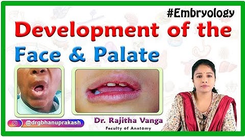Development of the Face and Palate : Human Embryology by Dr Rajitha