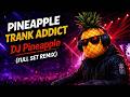 Pineapple Trank Addict (Full Set Remix) DJ Pineapple #pineapple