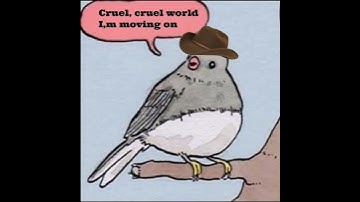 Thumbnail of Annoyed Bird Red Dead Redemption 2 Edition