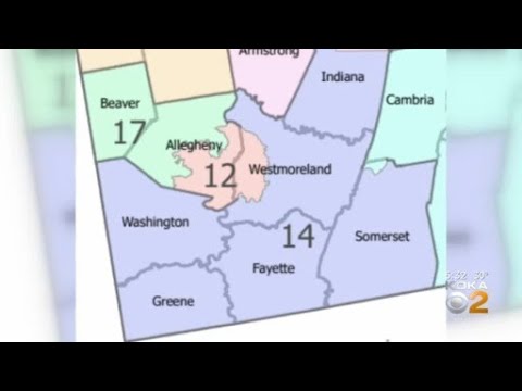 Pa. Supreme Court Picks New Map Of U.S. House Districts