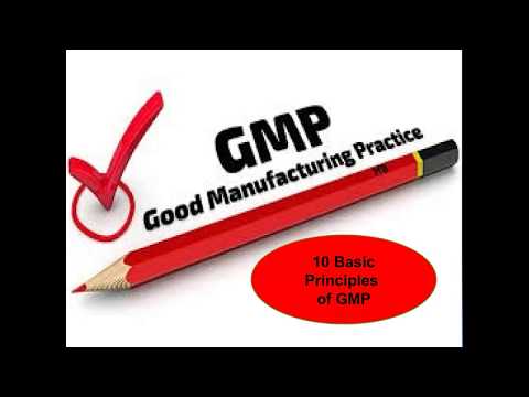 10 Basic Principles