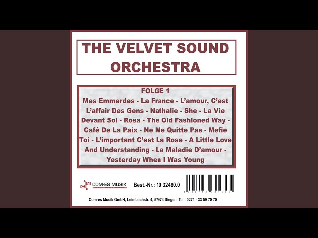 Velvet Sound Orchestra - Méfie Toi