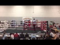 Larry gomez boxing