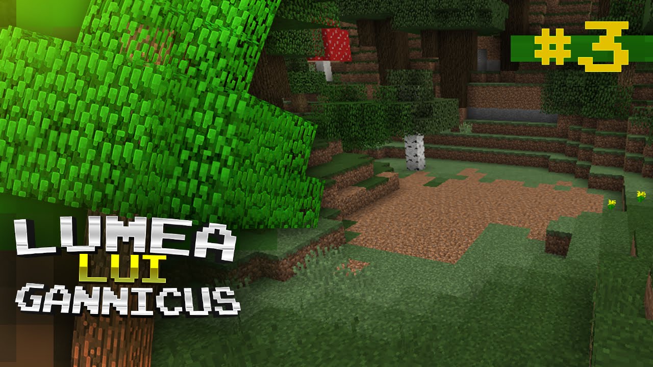 Lumea lui Gannicus - Episodul #3 : Câteva planuri !