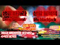 생활 바카라 x 생활 블랙잭 O 새로운 시스템배팅으로 수익만드는방법 알려드릴게요
