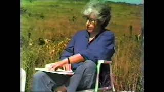 Leslie Miller, Original Papercuts: How I Got Started