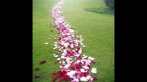 الشيخ توفيق بن سعيد الصائغ سورة AlInshiqaq_الانشقاق