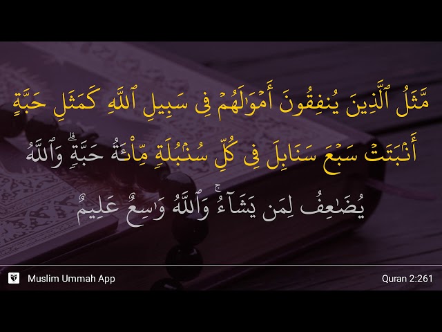 Al-Baqarah ayat 261 class=