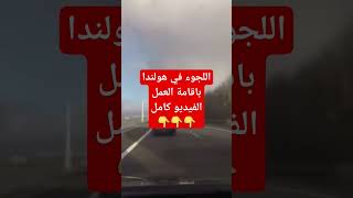 اللجوء في هولندا باقامة العمل الحياة_رحلة اللجوء هولندا