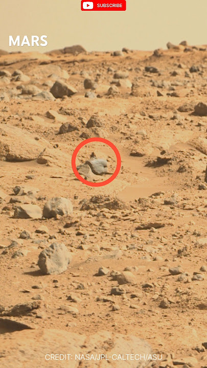 Mars view Curiosity @sciencedawn