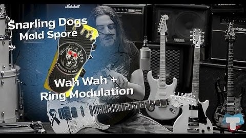 Setup on Fire - Wah Snarling Dogs