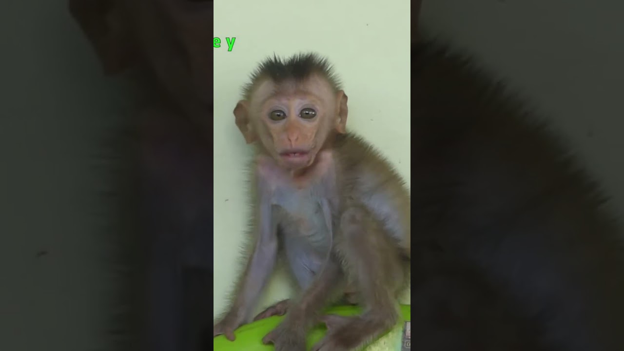 Baby lovely itchy skin 😞😍😍