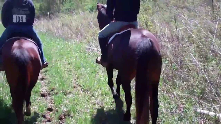 Mountaintop Ranch Artie Hunter Pace