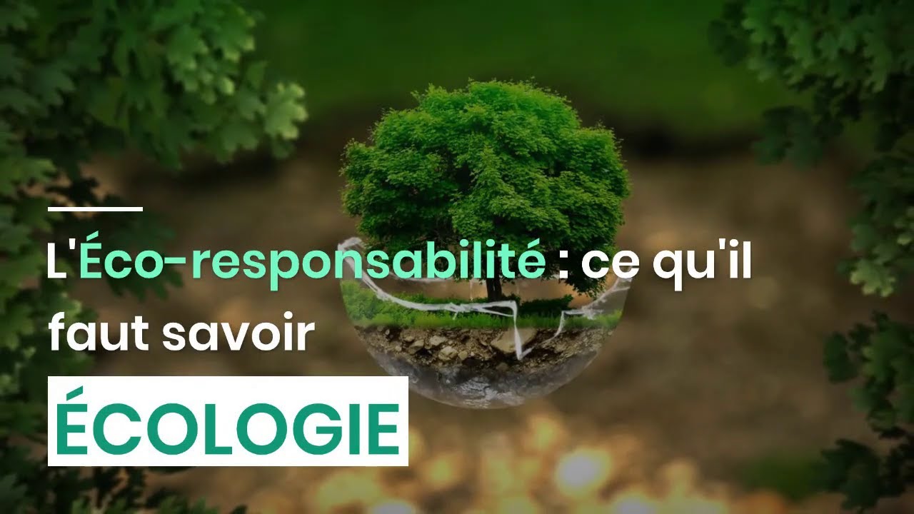 l'éco-responsabilité, c'est quoi ?