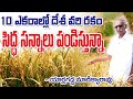 Deshi Paddy Cultivation || సిద్ధ సన్నాలు పండిస్తన్న రైతు అనుభవాలు || Y Manikyarao|| 9492593890