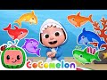 🦈Fun Shark Song for Kids 🦈🎉 | Dance &amp; Play Music