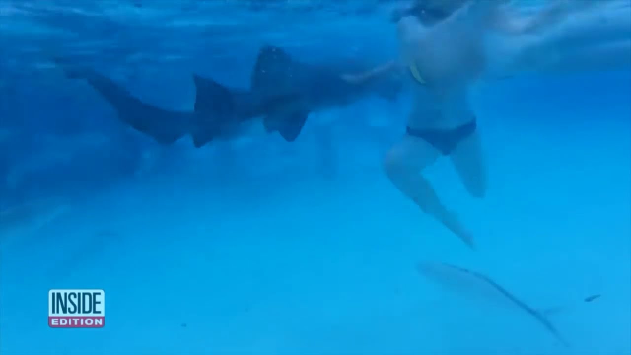 Нападения акул на людей.