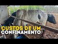 CUSTOS DE UM CONFINAMENTO HOJE!