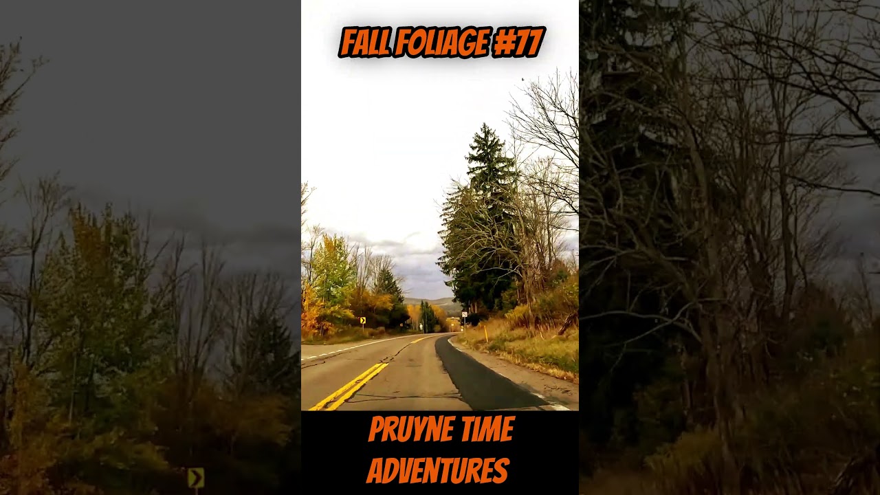 FALL FOLIAGE #77: 🍂 Route 6 Drive 2025: Mainesburg Towards Troy PA | Autumn Colors Northern Tier 🍂
