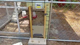 coop automatic chicken door