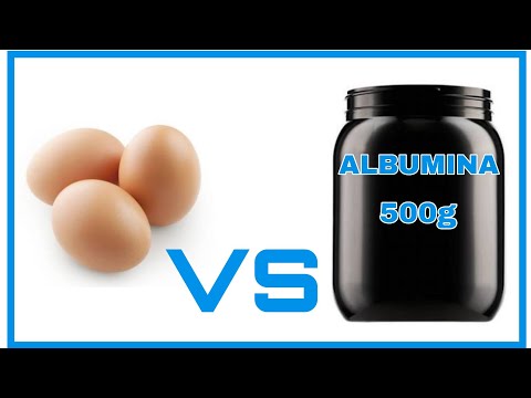 Ovos VS Albumina (comparativo Custo/benefício Da Proteína)