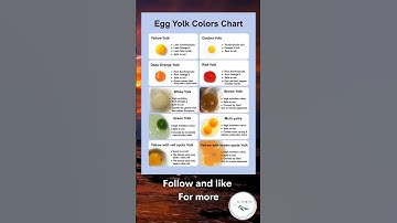 Egg Yolk Color Chart