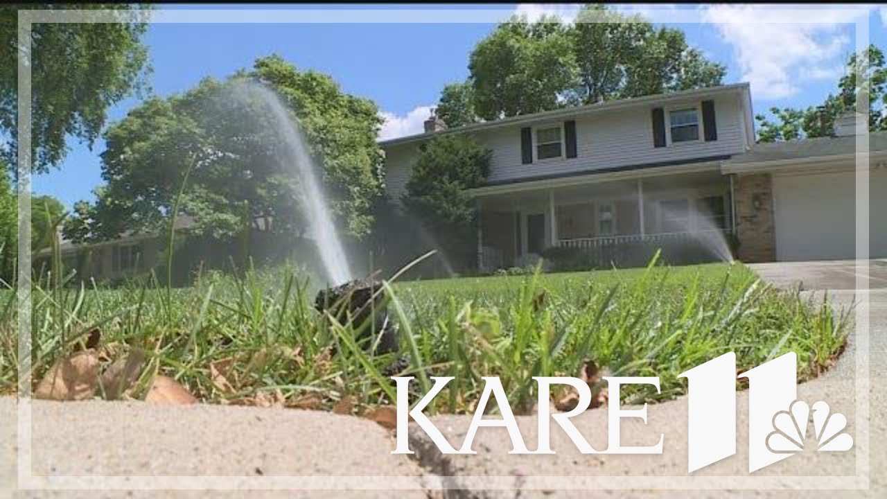 How to prepare your lawn and plants for the extreme heat next week