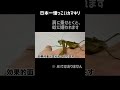 日本一懐っこいカマキリ #shorts