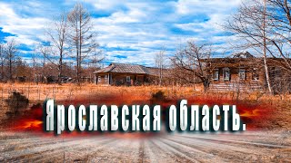 Пешком по тропам диких животных. Заброшенная деревня Ярославской области.