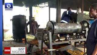 Nigerian Engineers At NIFOR Fabricate Oil Palm Production Equipment