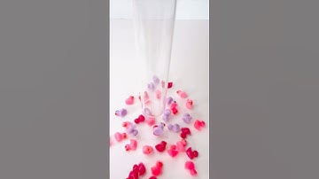 Nice Sound, Many Speeds (Satisfying Reverse Video)