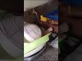 my daily activities#job #activities#shorts#kenya