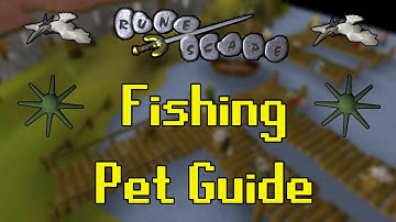 Old School RuneScape Fishing Pet Guide (Fastest/AFK)