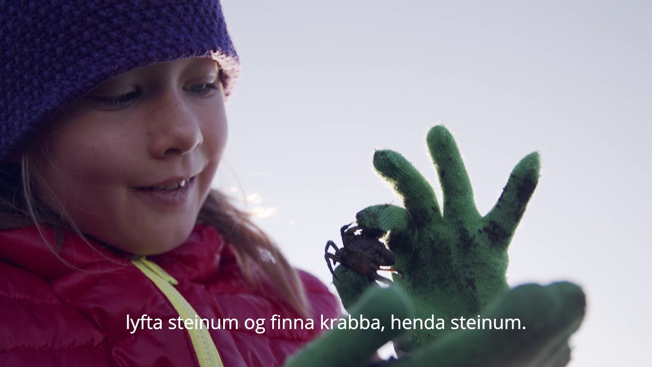 EYRARBAKKI OG STOKKSEYRI - NÁTTÚRAN, FJÖLSKYLDAN OG STRÖNDIN — Stokkseyri — video poster