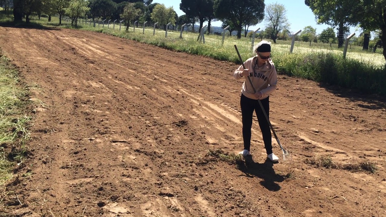 SEBZE BAHÇESİ HAZIRLAMAK - YouTube