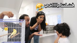 هدية ريما سروال - مجودي النكبة