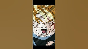 What if PHY SSJ3 Goku & SSJ2 Vegeta
