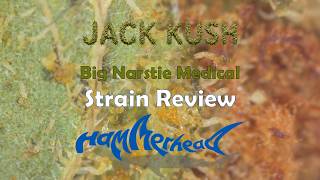 Medical Cannabis UK -  Big Narstie Medical Jack Kush 27% Strain - Extended Review!