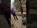 This customers garden was on the verge of flooding. #satisfying #asmr #blockeddrains