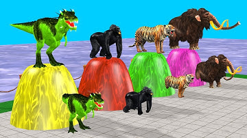 Animals Running Game Through Obstacles And Fans