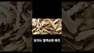 몸이 무겁다면 지금이 회복의 시간입니다 #기력회복 #활력충전 #몸이무거울때 #피로회복 #면역력 #건강관리 #쌍화차 #전통차 #보약차 #전주카페 #전주중앙시장 #환절기건강 #가을건강